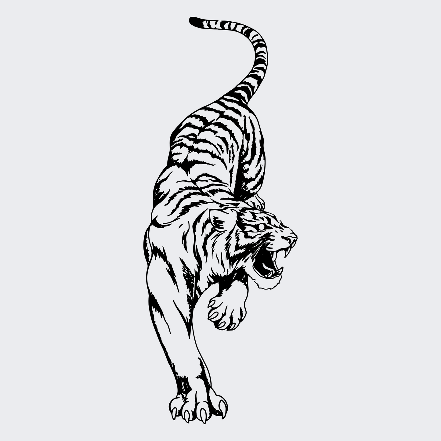 Outraged Tiger