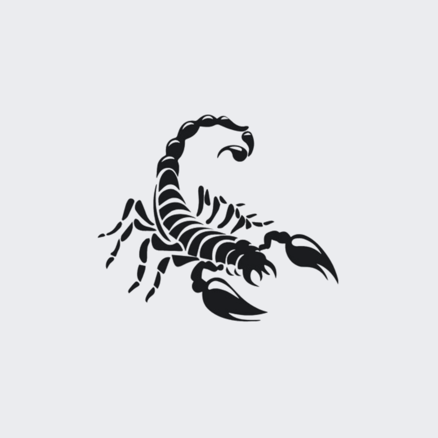 Scorpion Attack