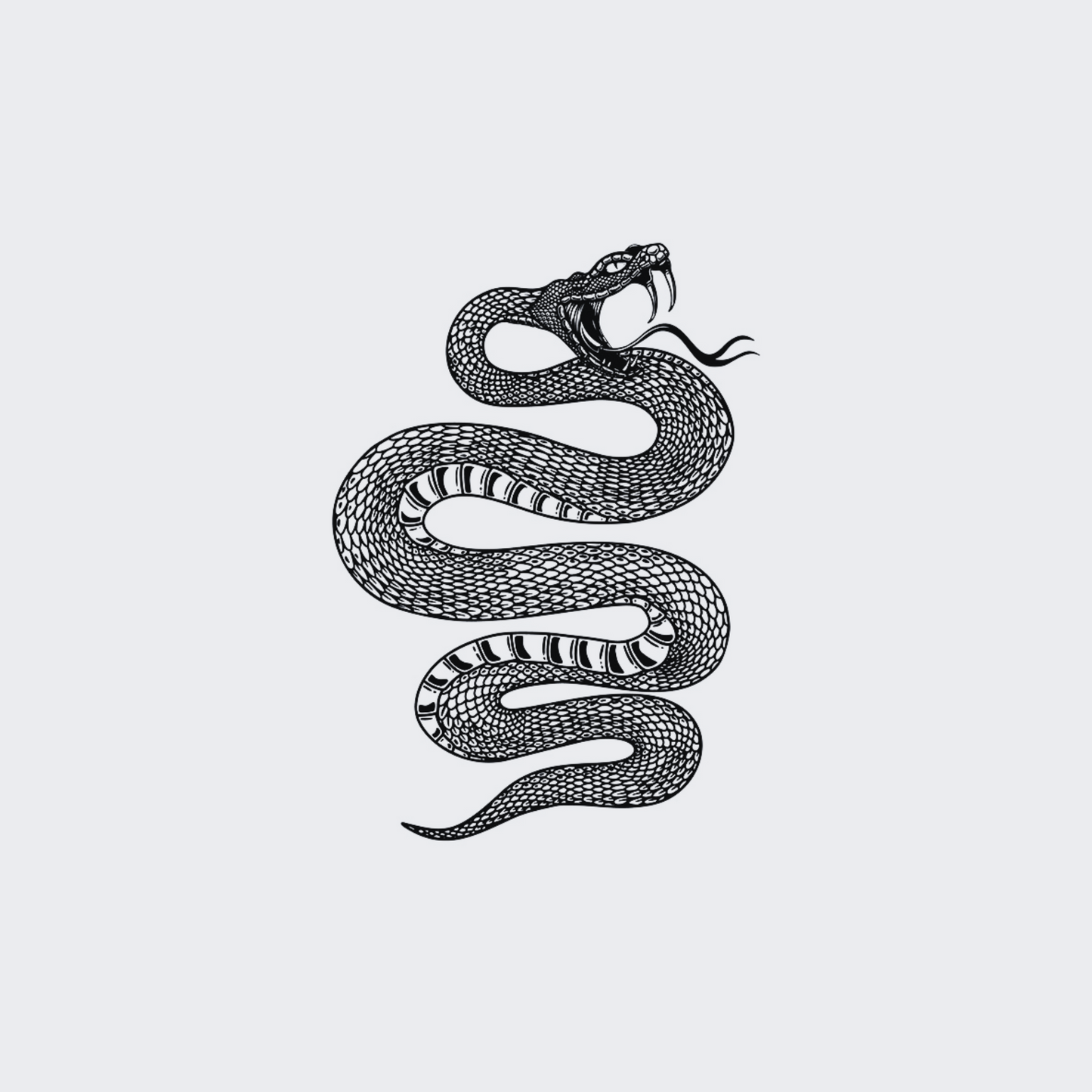 Fierce Cobra