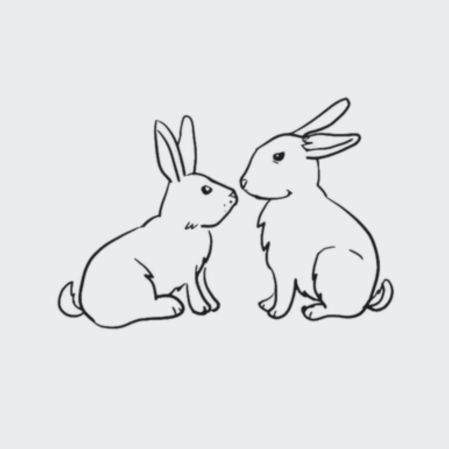 Rabbit Love