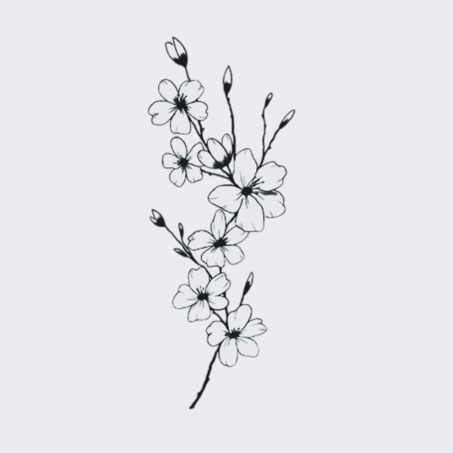 Blossom Mist