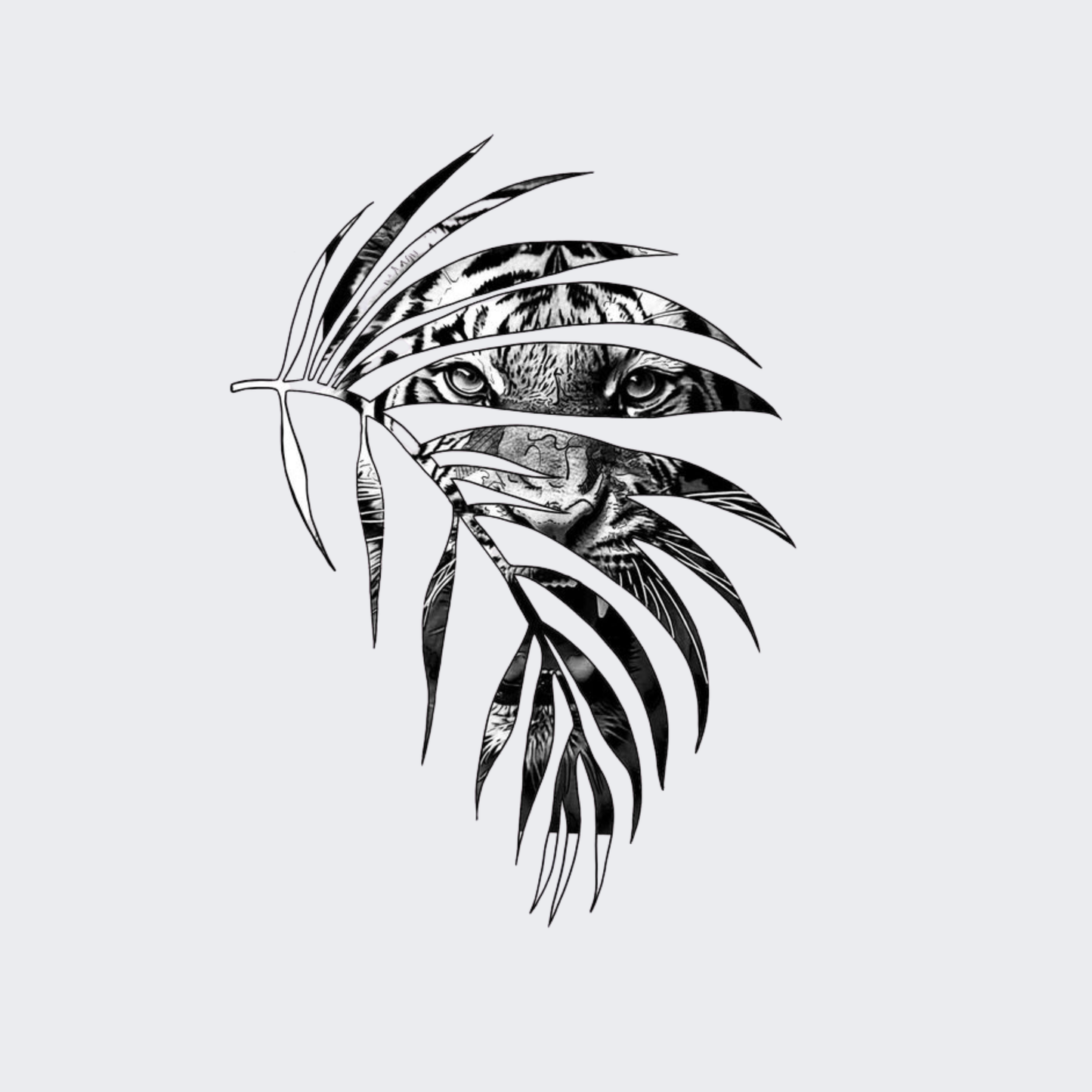 Tiger Palm