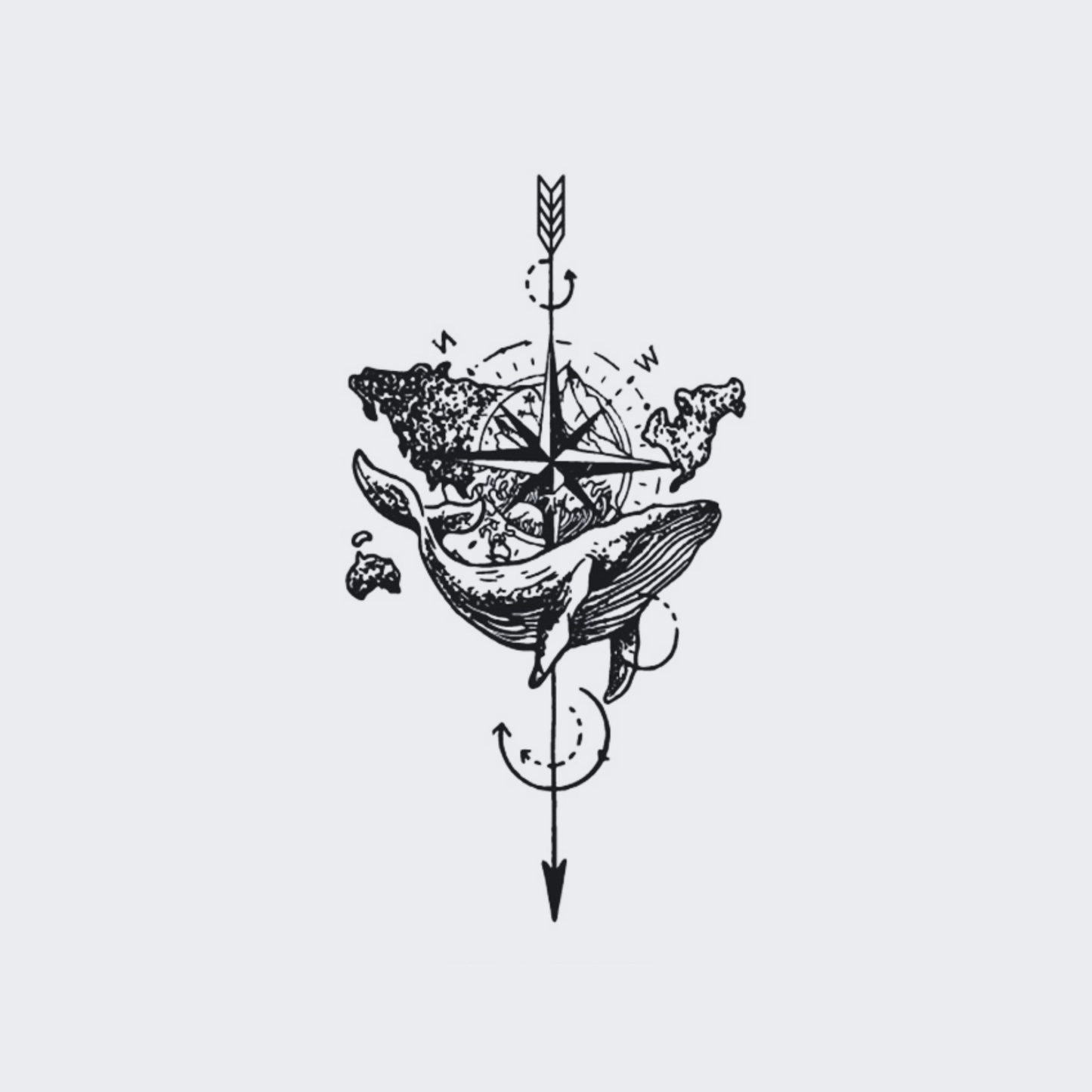 Compass Whale