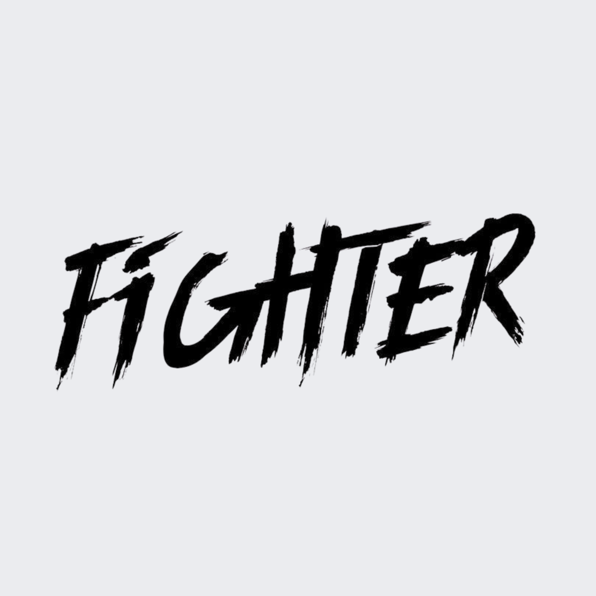 Fighter