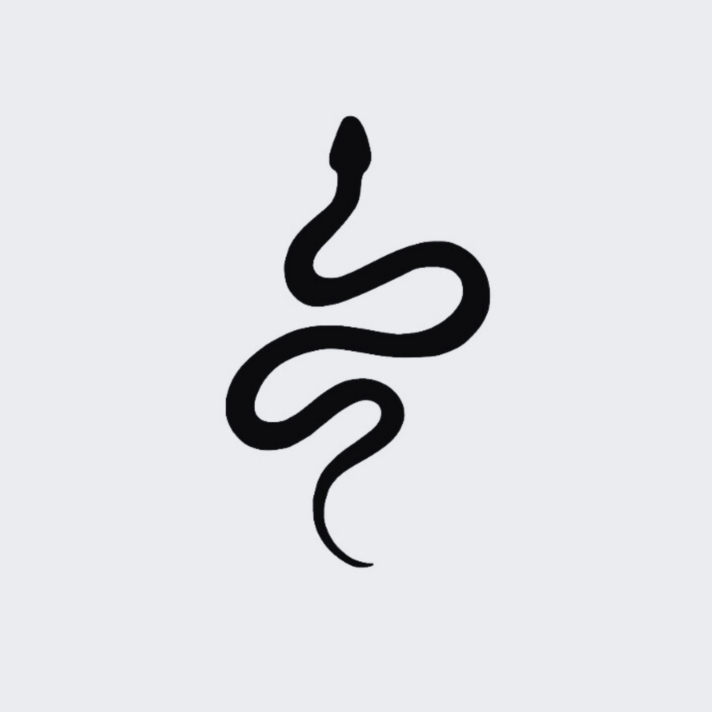Mini Snake