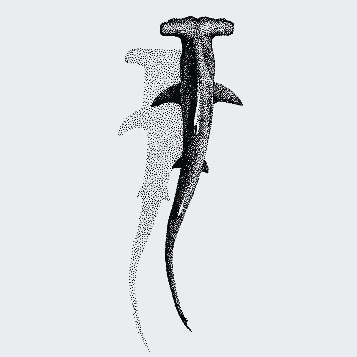 hammerhead Shark