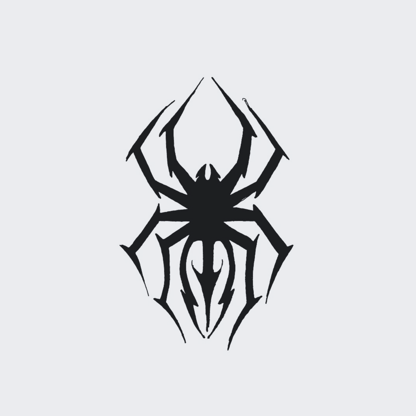 Spider 101