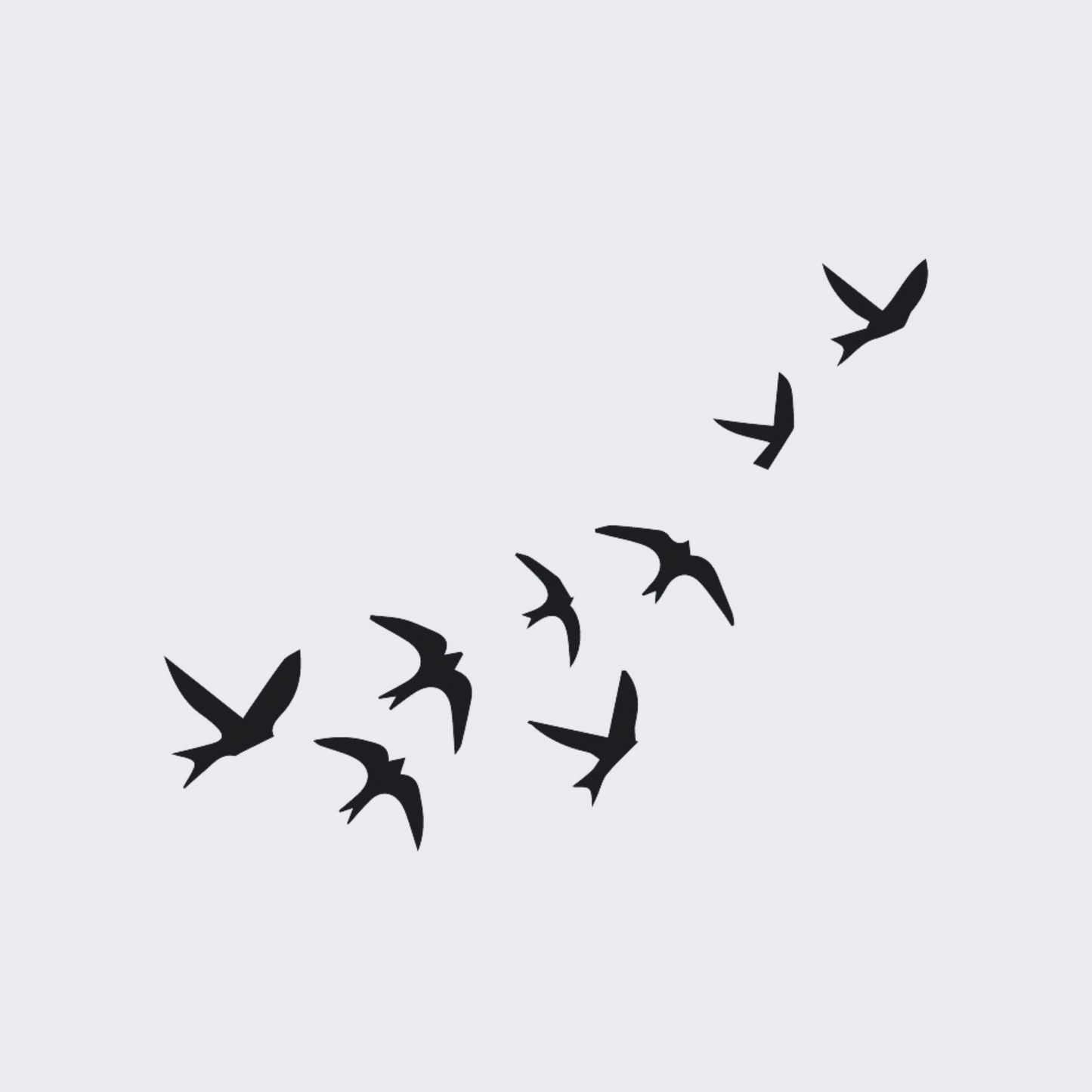 Flock Of Birds