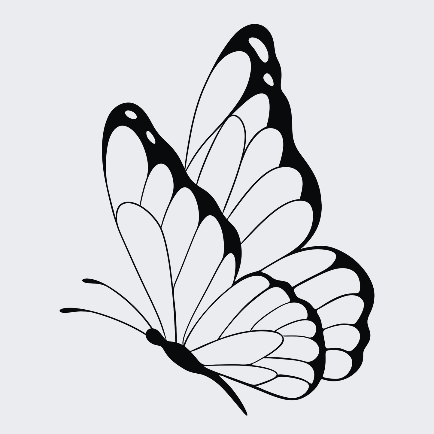 Mini Butterfly