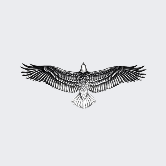 Freedom's Flight
