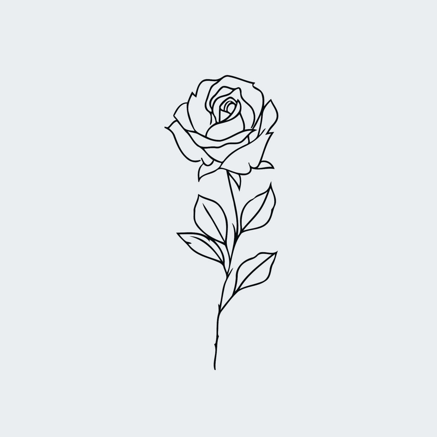 Single Rose