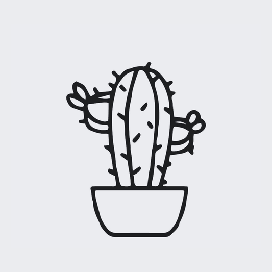 Cute Cactus