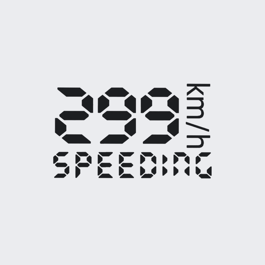 299 Speeding