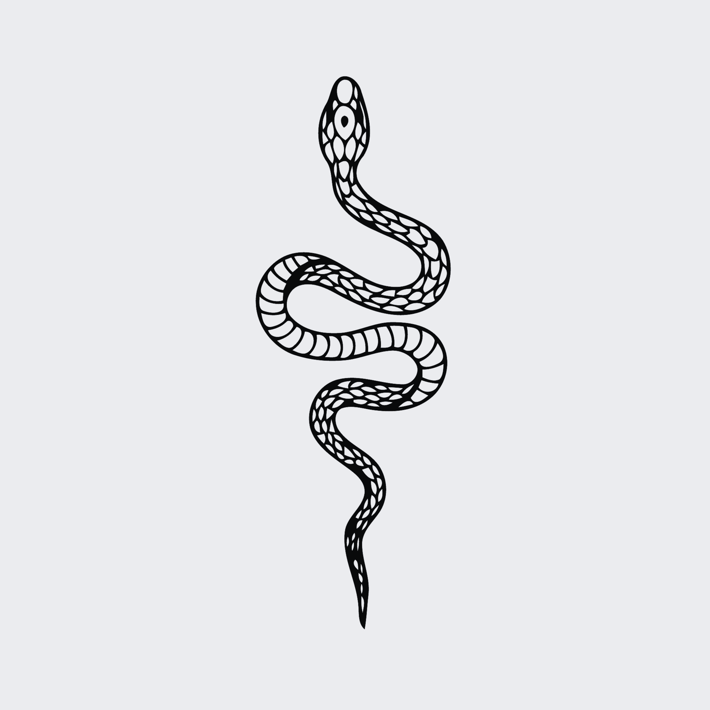 snake curve