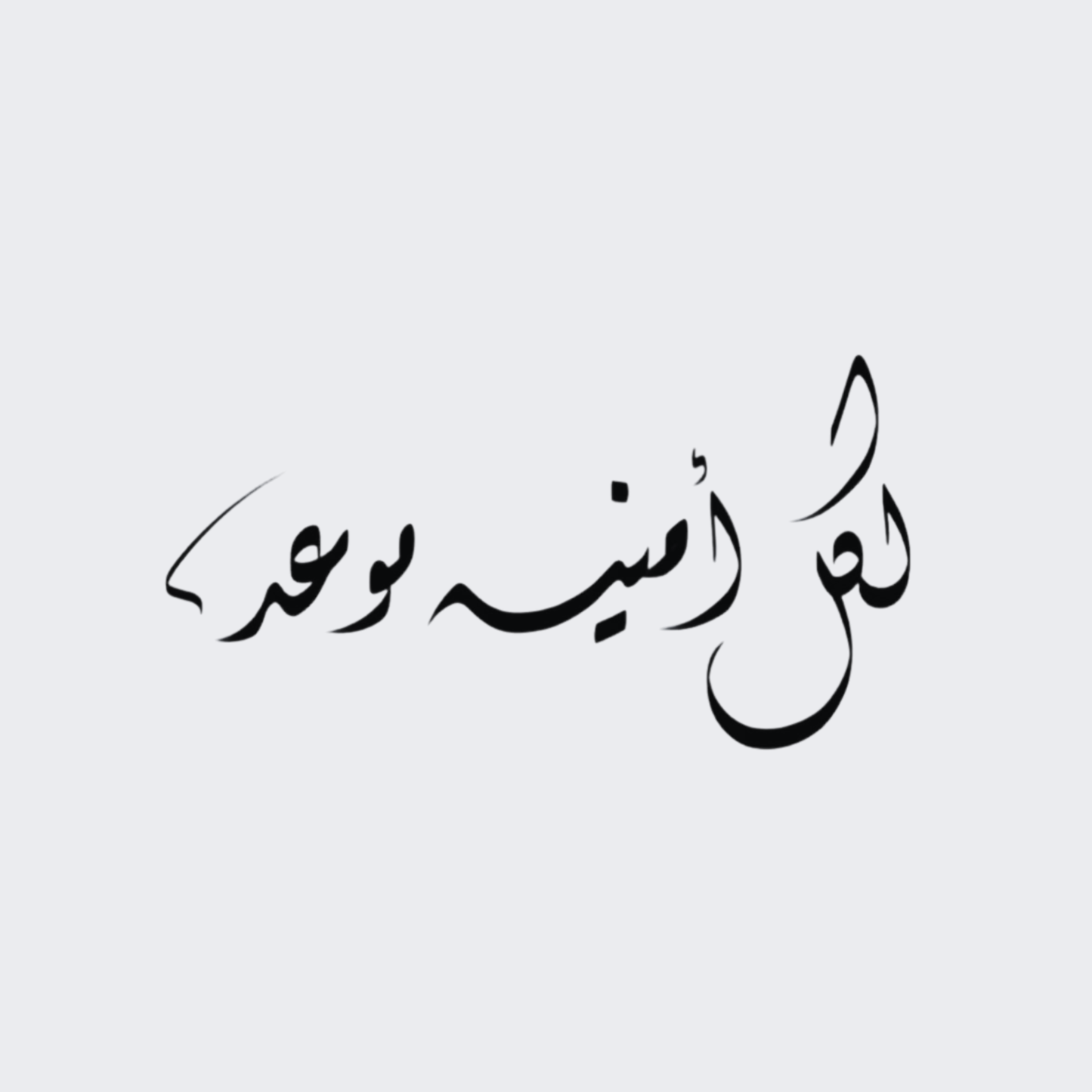 لكل أمينة موعد