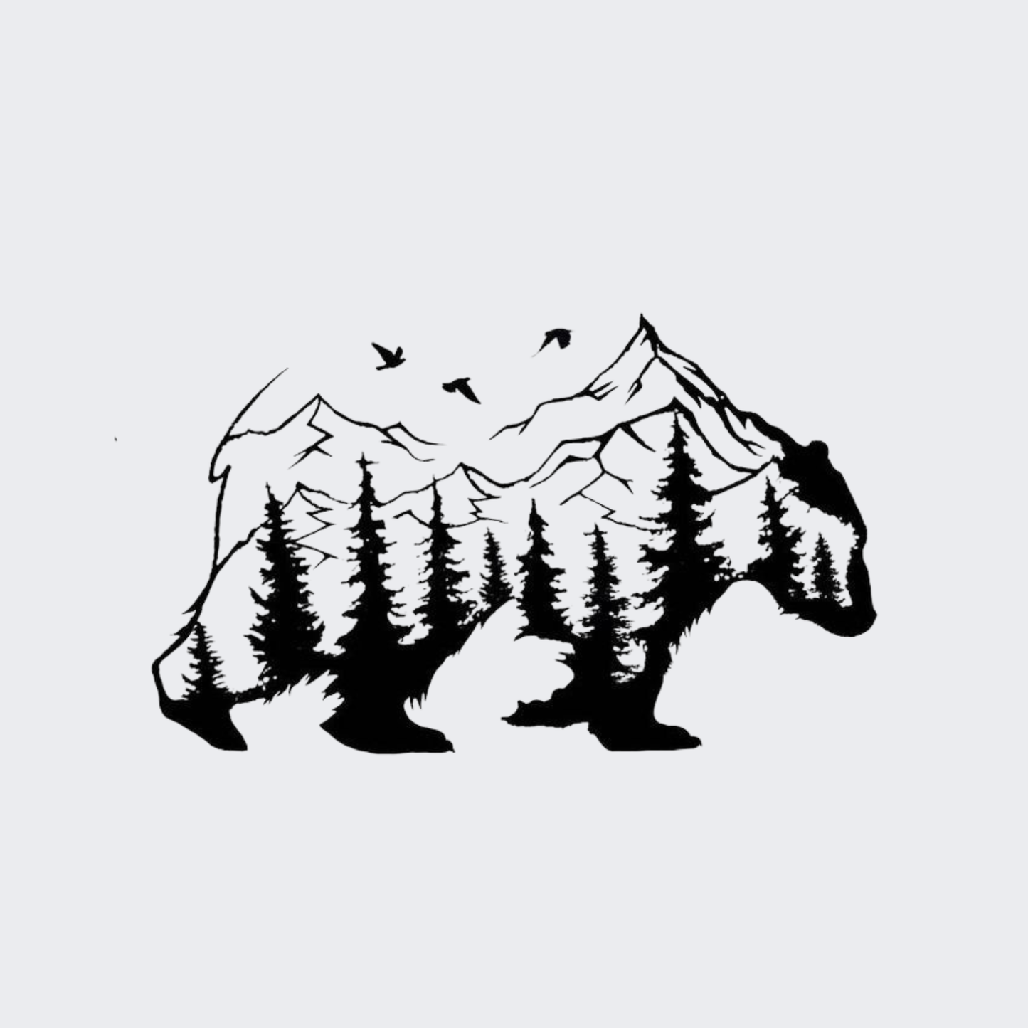 Wild Bear