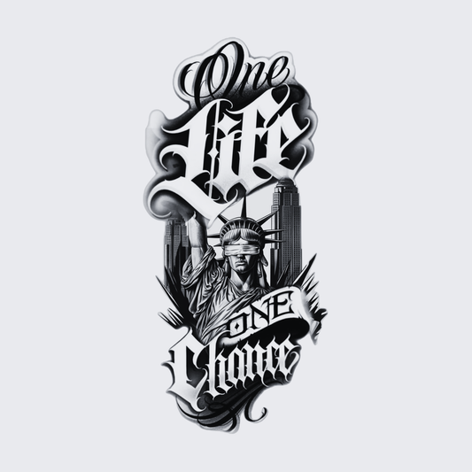 One Life One Chance