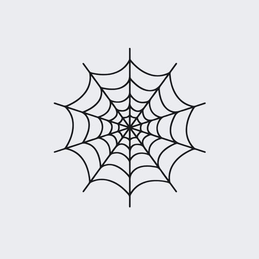 Spider Web