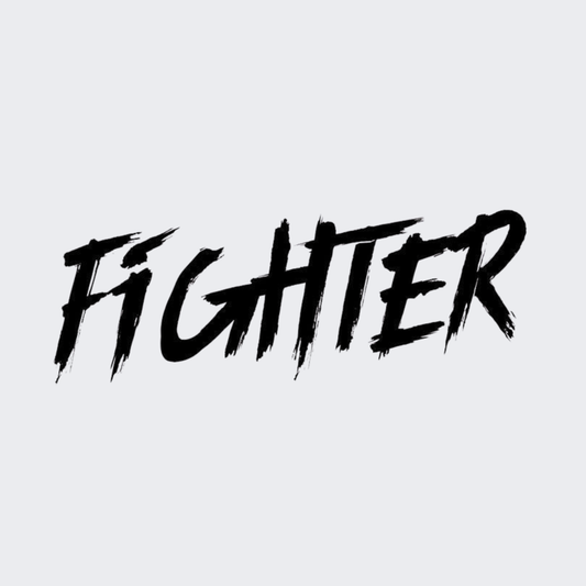 Fighter