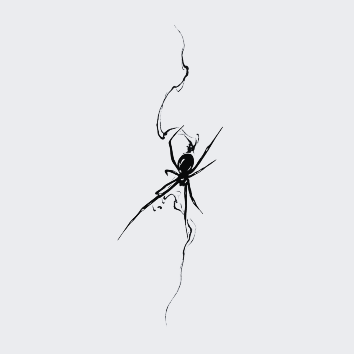 Spider's Silk