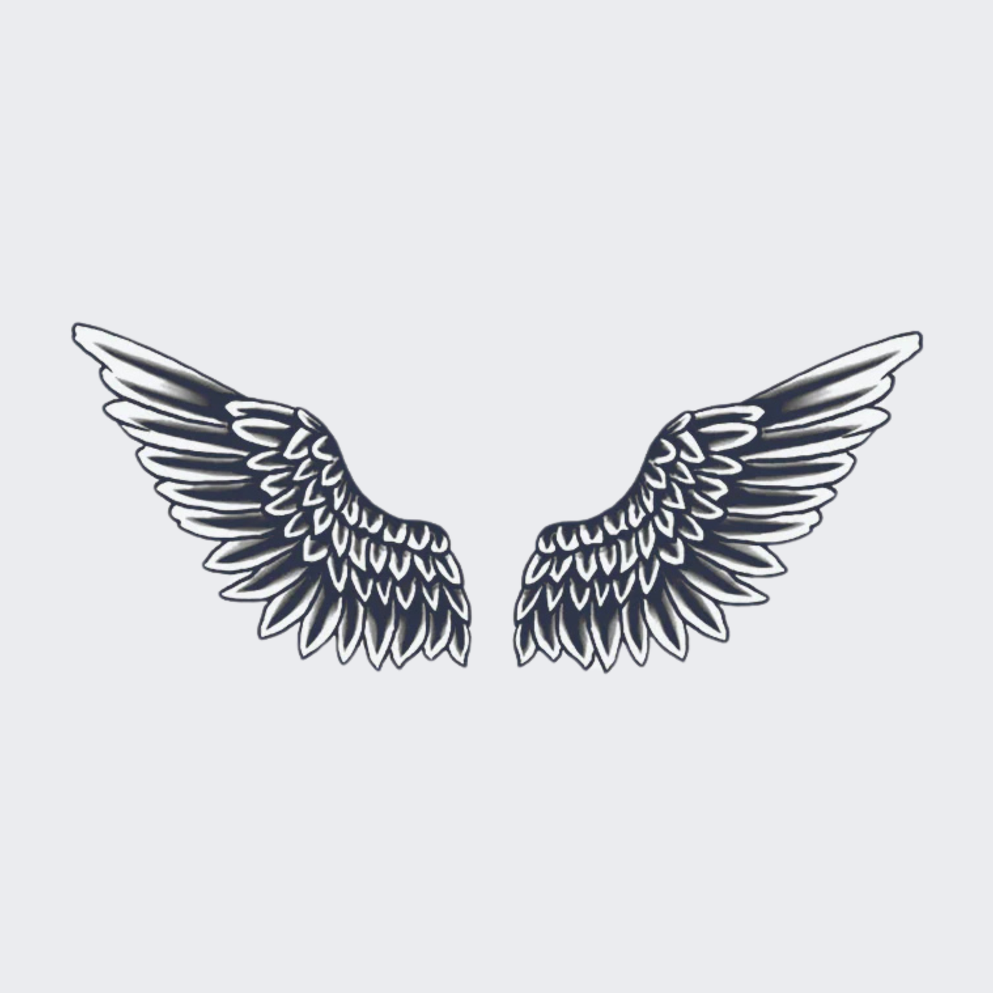 Wing swift