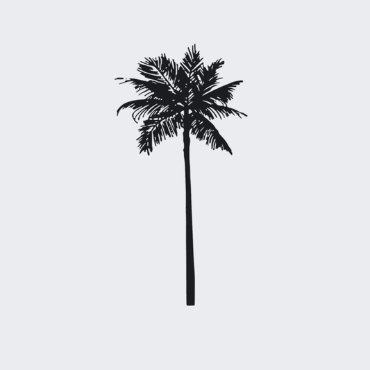 Palm Tree
