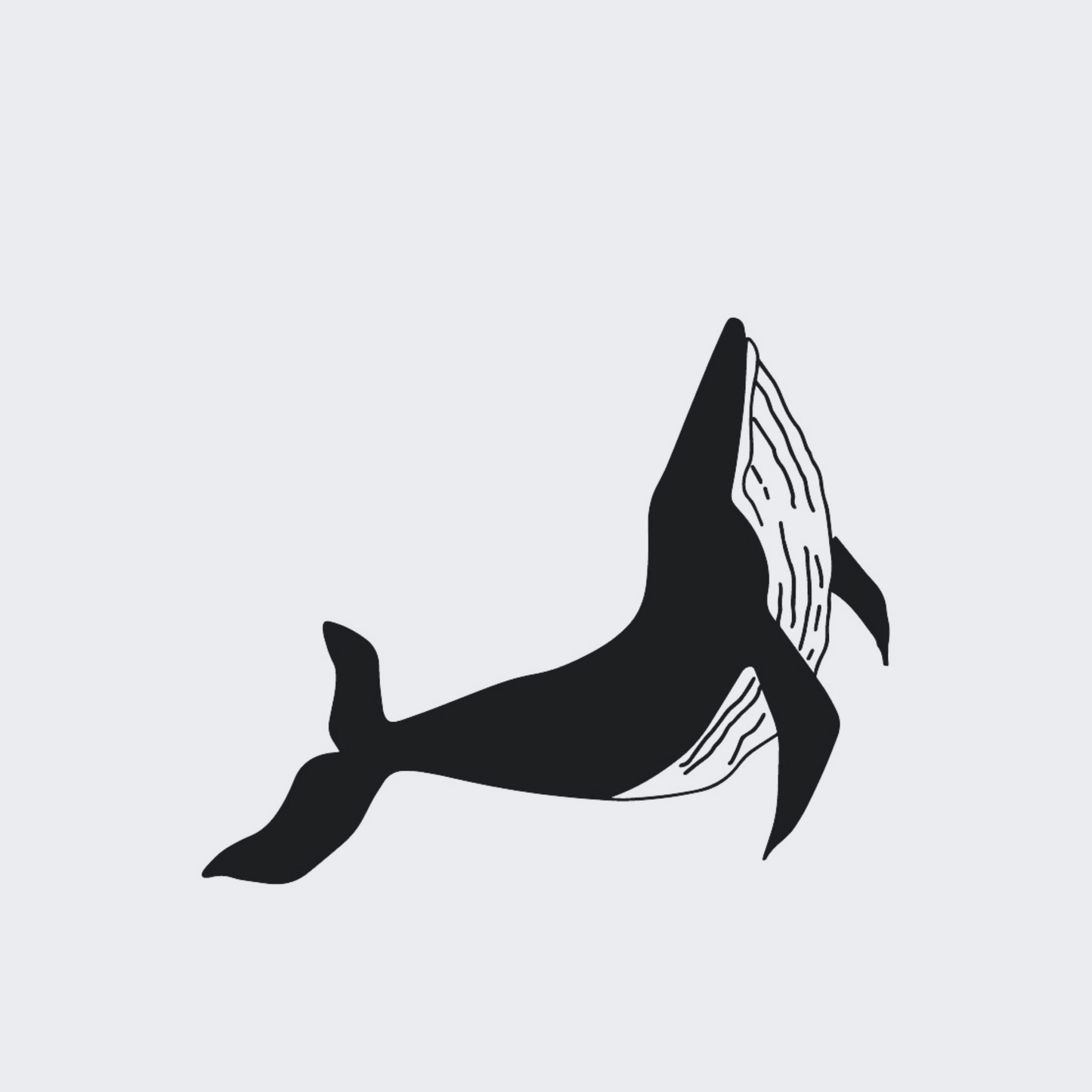 Whale