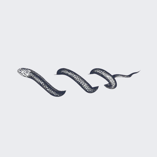 Snake -Collarbone