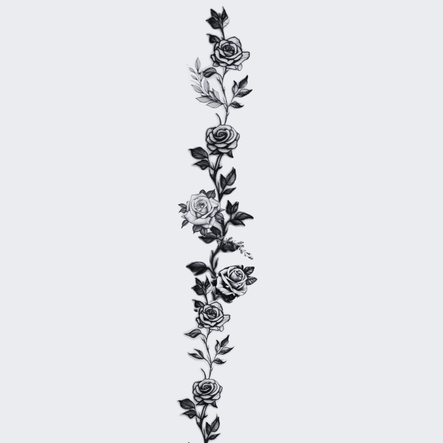 Elegant Rose - Spine