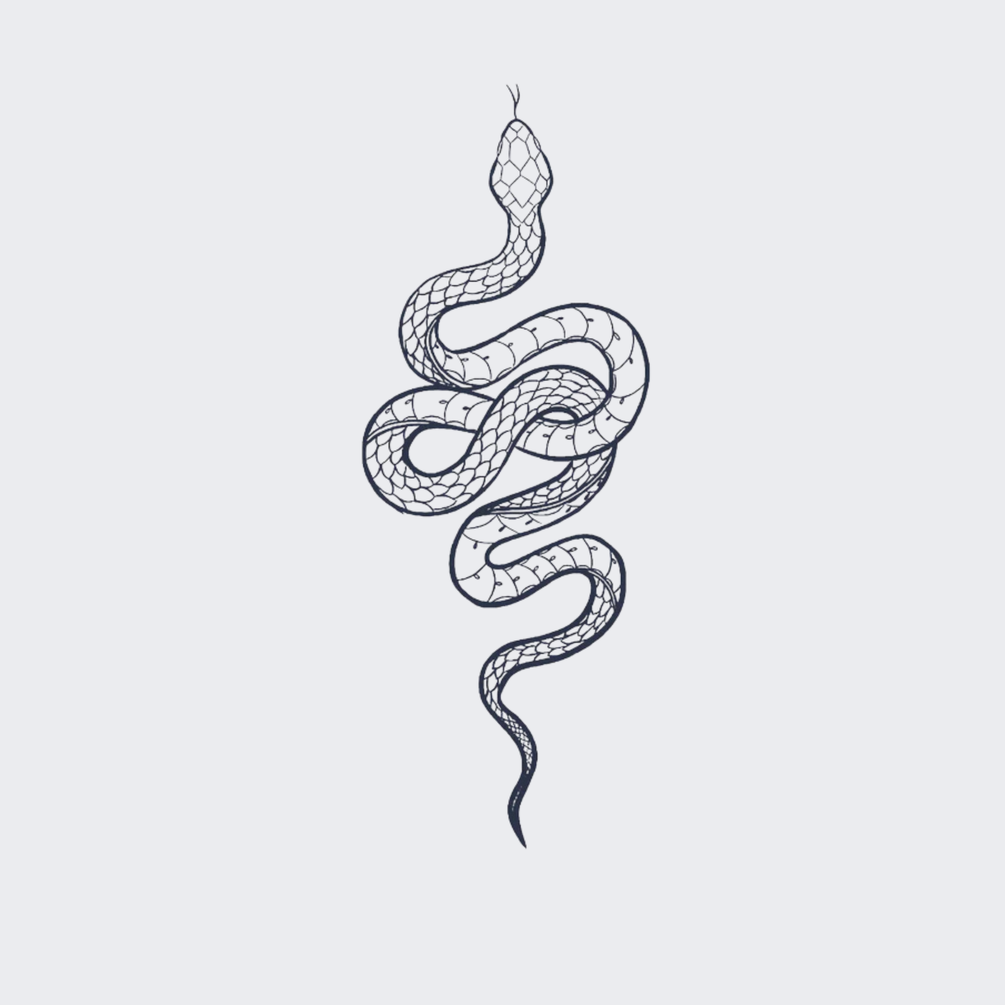 Scaley Snake