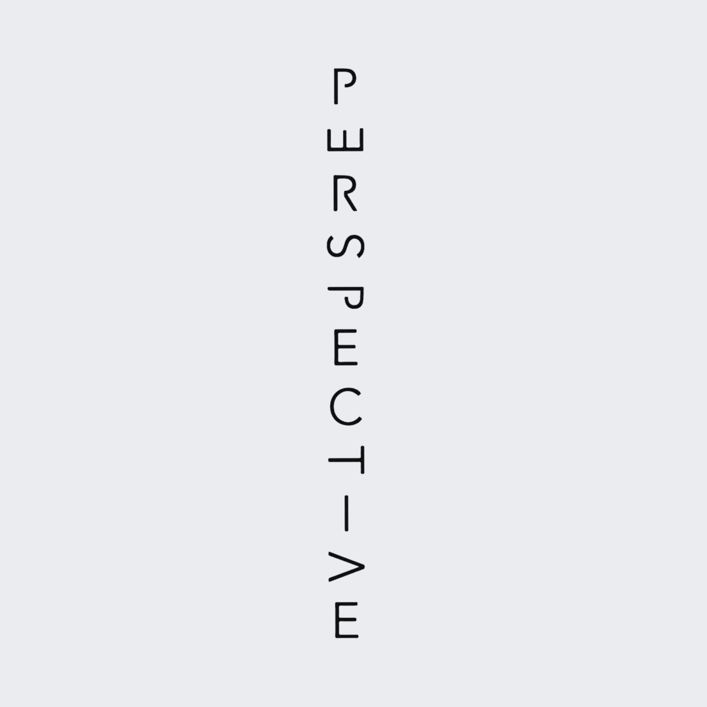 Perspective N