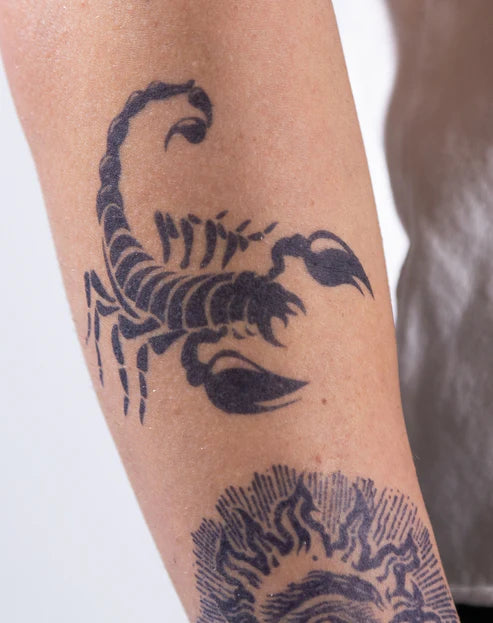 Scorpion Attack