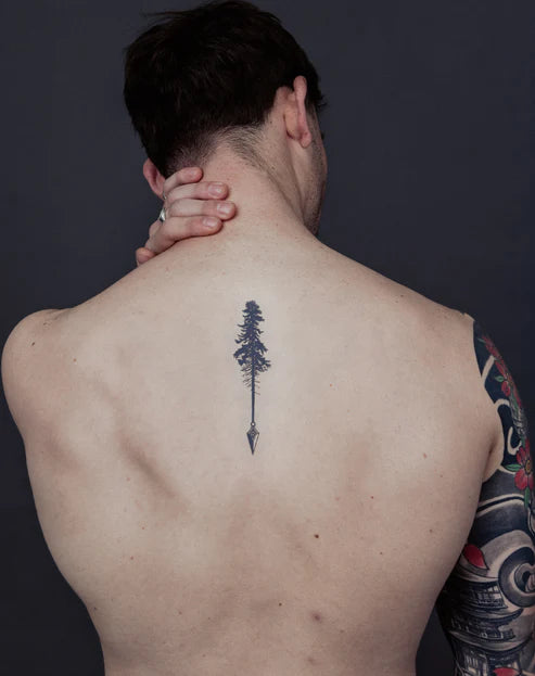 Pine Arrow