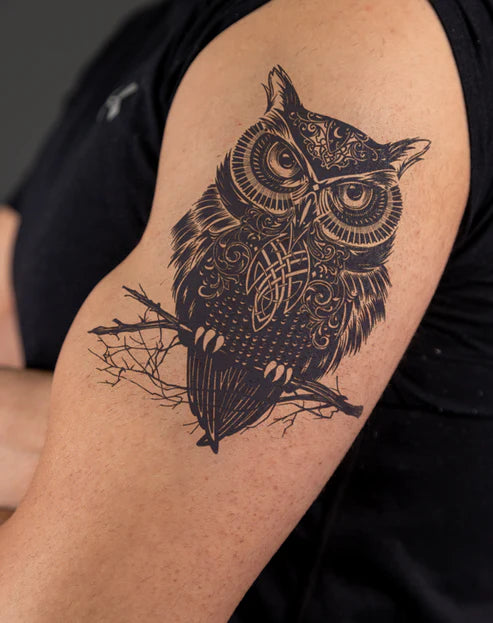 Ornate Owl