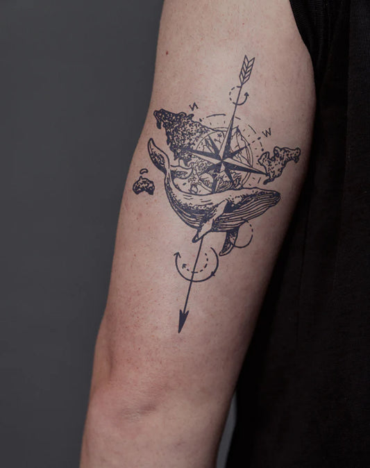 Compass Whale