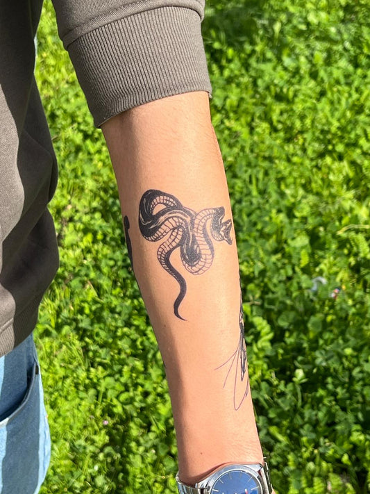 Vicious snake