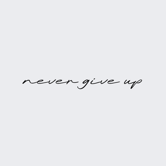 Never Give Up